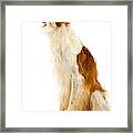 Borzoi Or Russian Wolfhound #5 Framed Print