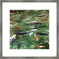 Colored Carp At Monet's Pond #5 Framed Print