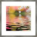 Lily Of The Valley #5 Framed Print