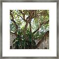 Miami Monastery #5 Framed Print