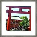 生田神社❇

#神社 #兵庫県 #5 Framed Print