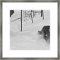 The Wonder Dog #5 Framed Print