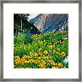 Wasatch Mountains #5 Framed Print