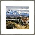 51 South 2 Framed Print