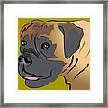 Boxer Dog Portrait #6 Framed Print