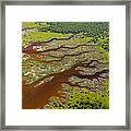 Everglades Aerial #6 Framed Print