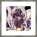 Into The Iris #6 Framed Print