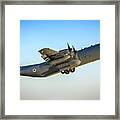 Israel Air Force C-130 Hercules #6 Framed Print