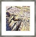 Ripples Of Color In Valley Of Fire #6 Framed Print