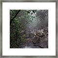 Misty Rainforest El Yunque #7 Framed Print