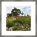 Sammo Island #7 Framed Print