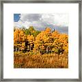 Fall #8 Framed Print