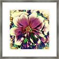 Abstract Flowers #9 Framed Print