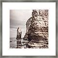 Flamborough Head, North Yorkshire, Uk Framed Print