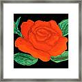 Red Rose, Painting #9 Framed Print