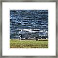 A Bench By The Sea Framed Print