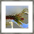 A Bit Icy Out There Framed Print