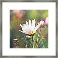 A Bouquet Of Flowers Framed Print