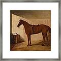 A Chestnut Horse In A Stable Framed Print