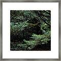 A Clearing In The Wild Framed Print