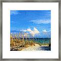 A Day In The Life In South Walton Framed Print