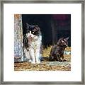 A Day In The Life Of A Barn Cat Framed Print