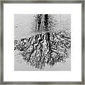 A Duck Drawing On The Puddle Of Water Framed Print