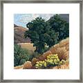 A Fall Day At Whitney Canyon Framed Print