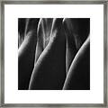 A Forest Of Beauties Framed Print