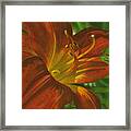 A Frog On A Lily Framed Print