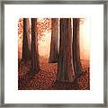 A Light In The Woods Framed Print