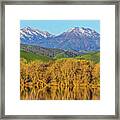 A Little Snow On Mt. Diablo Framed Print