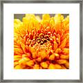 A Little Time To Think Things Over Framed Print