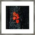 A Lonely Shade Of Red Framed Print