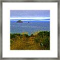 A  Pacific North West Pathway View Framed Print