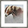A Pair Of Belgian Horses Framed Print