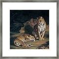 A Pair Of Leopards Framed Print