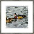 A Pair Of Painted Wood Ducks Framed Print