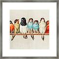 A Perch Of Birds, 1880 Framed Print