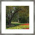 A Quiet Place Framed Print