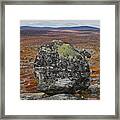 A Rock In The Highland Framed Print