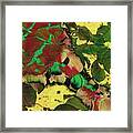 A Scattering Of Leaves Framed Print