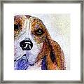 A Soulful Hound Framed Print