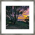 A Swinging Sunset From The Secret Swings Of La Jolla Framed Print