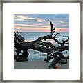 A Touch Of Morning Glory Framed Print