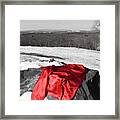 A Touch Of Red 2 Framed Print