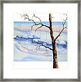 A Tree In Another Dimension Framed Print