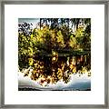 A View Into A Woodland Paradise Framed Print