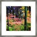 A View Of The Woods In Fall Framed Print