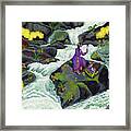 A Visit From Whirlwind Framed Print